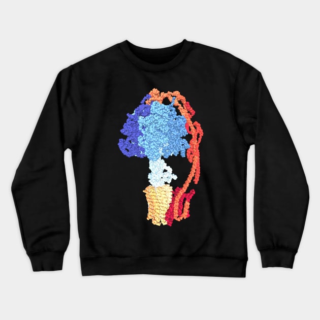 ATP synthase (bright color) Crewneck Sweatshirt by RosArt100